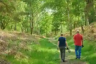 Nature Walk